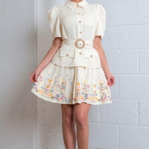 Printed Short Slvs Pleated Mini Dress